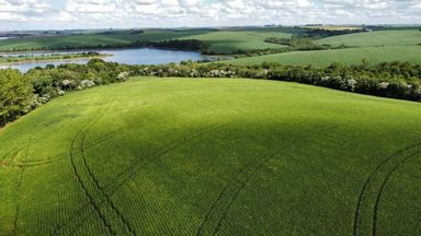 Área à Venda com 89ha Rio Grande do Sul, Ronda Alta-RS