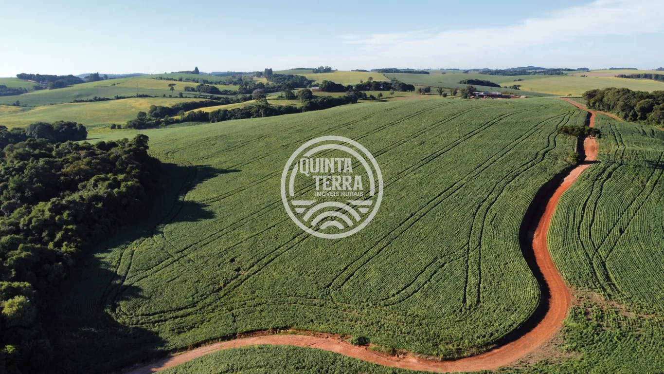 Área à Venda com 236ha - foto 6