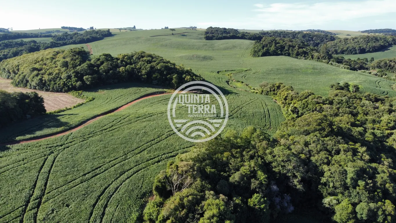Área à Venda com 236ha - foto 11