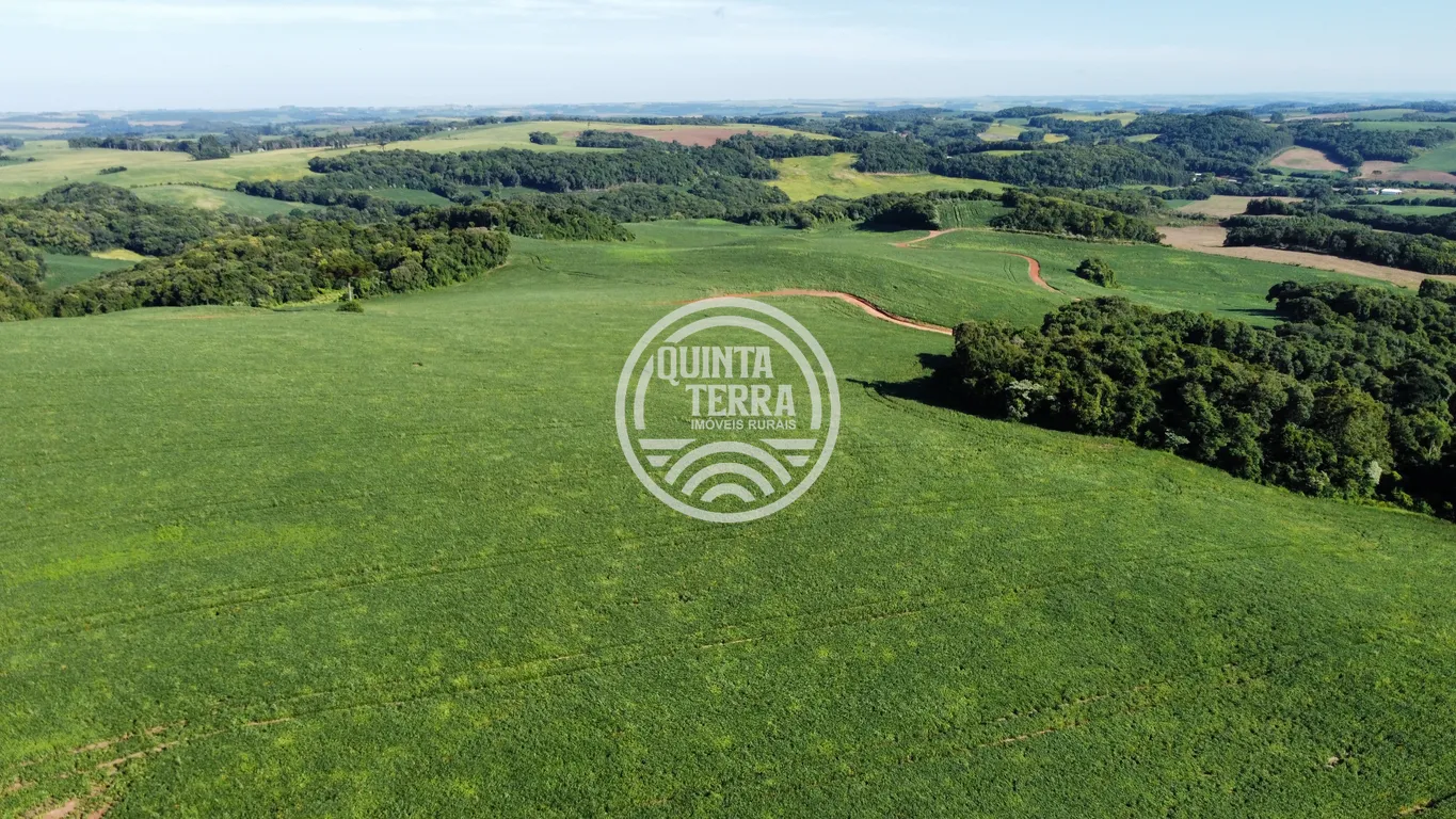 Área à Venda com 236ha - foto 14