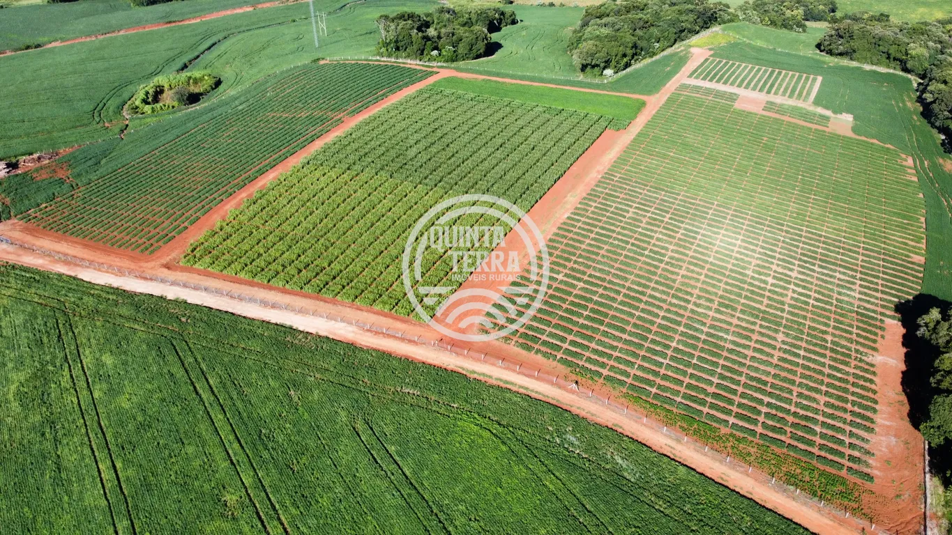 Área à Venda com 236ha - foto 15