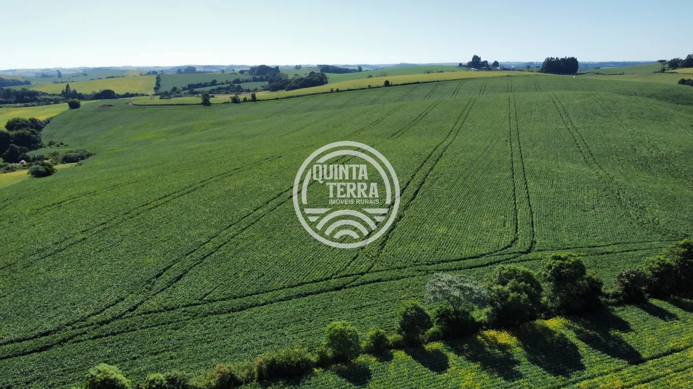 Área à Venda com 236ha - foto 18