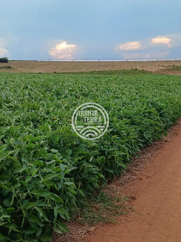 Área à Venda com 277ha - foto 2