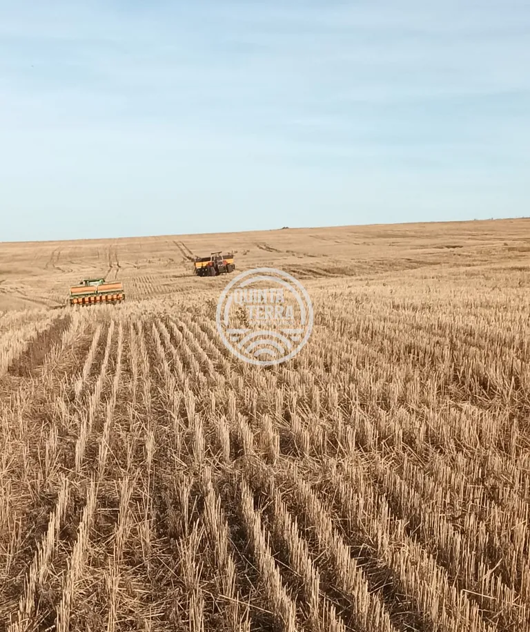 Área à Venda com 277ha - foto 3