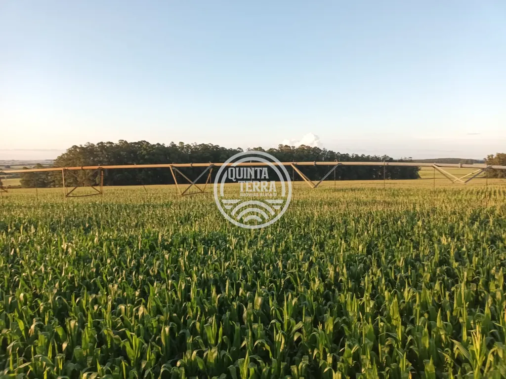 Área à Venda com 277ha - foto 4