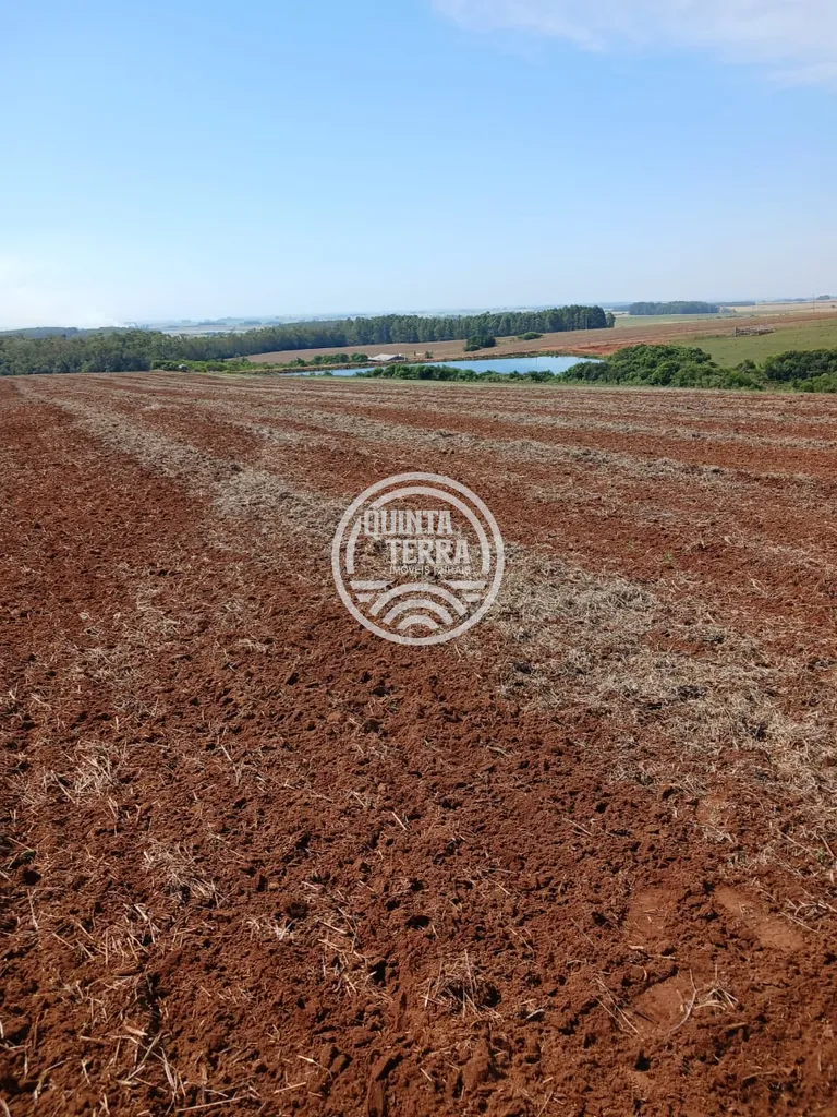 Área à Venda com 277ha - foto 10