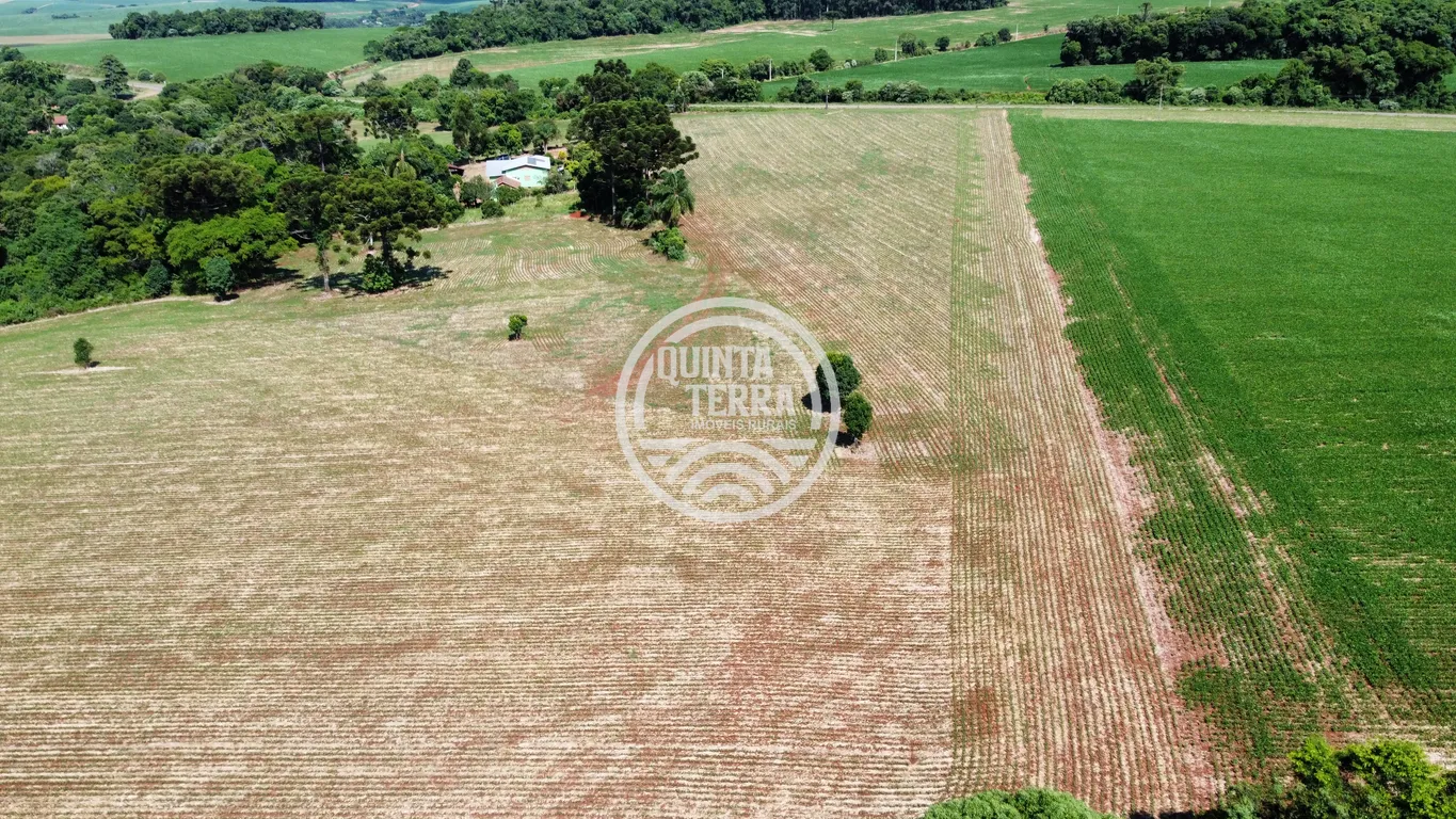 Área à Venda com 2ha - foto 6