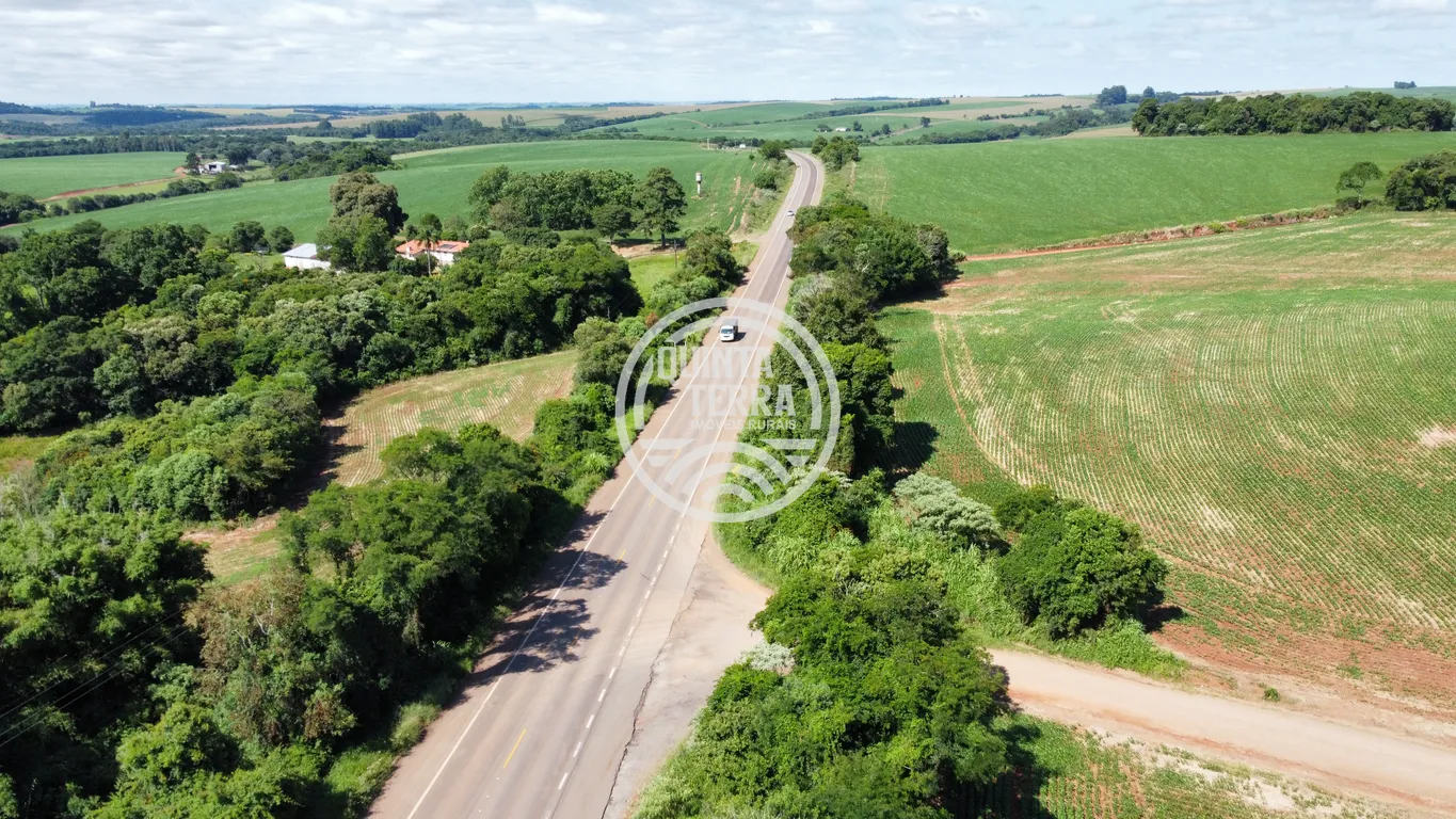 Área à Venda com 2ha - foto 10