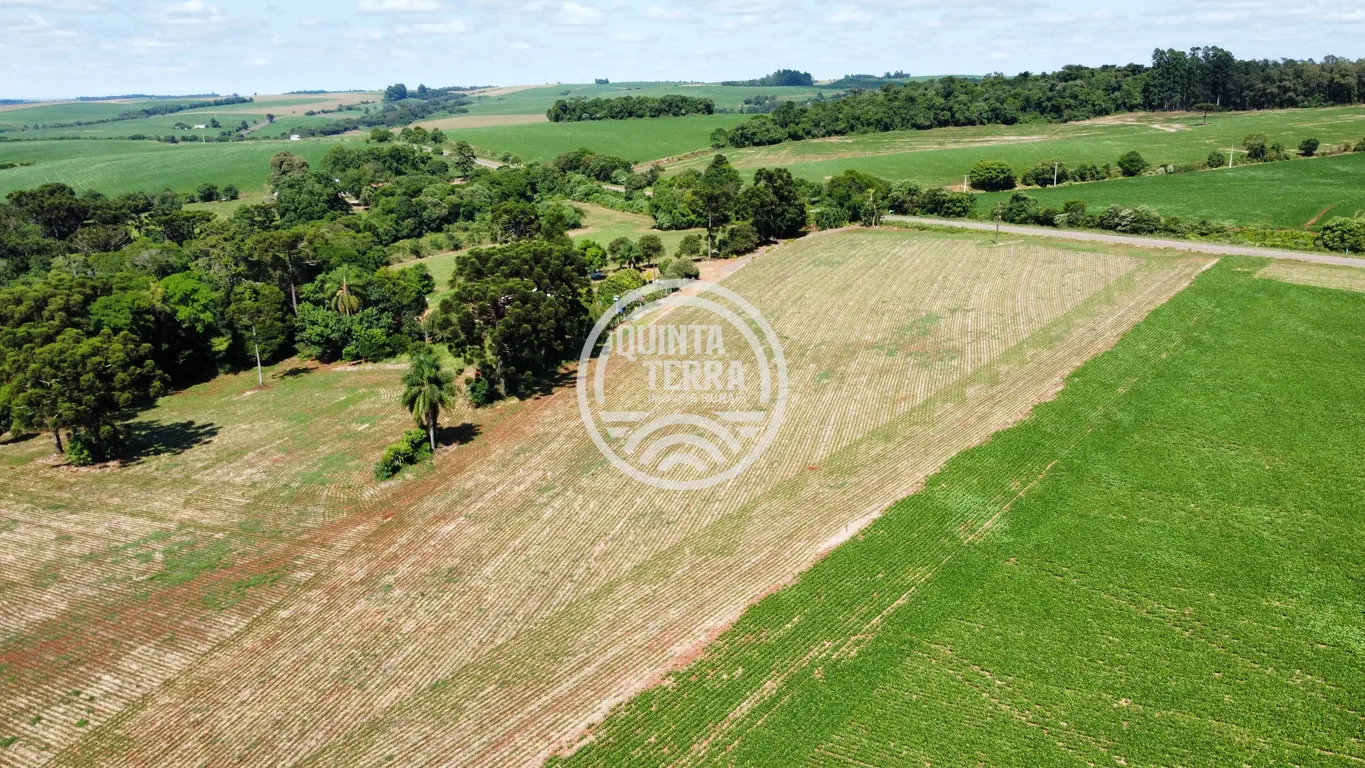 Área à Venda com 2ha - foto 11