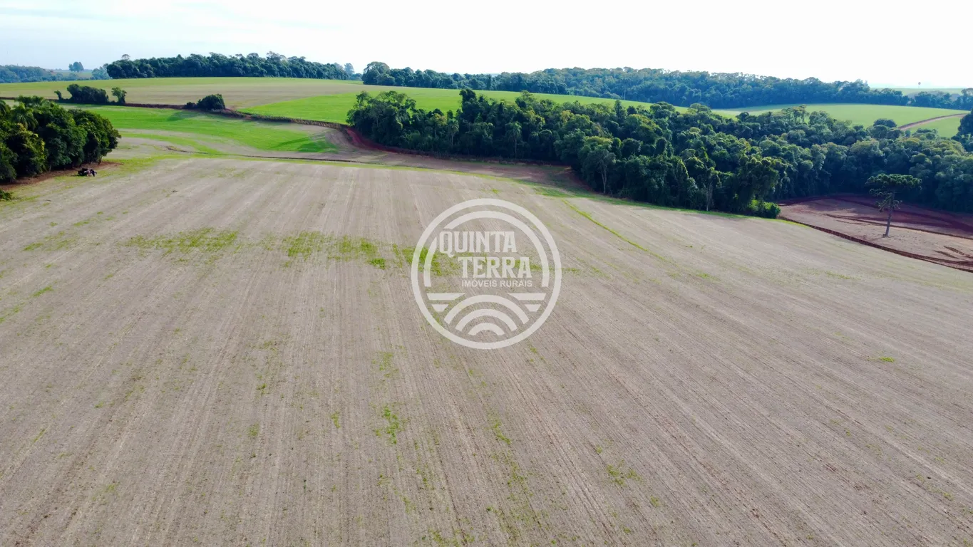 Área à Venda com 43ha - foto 2