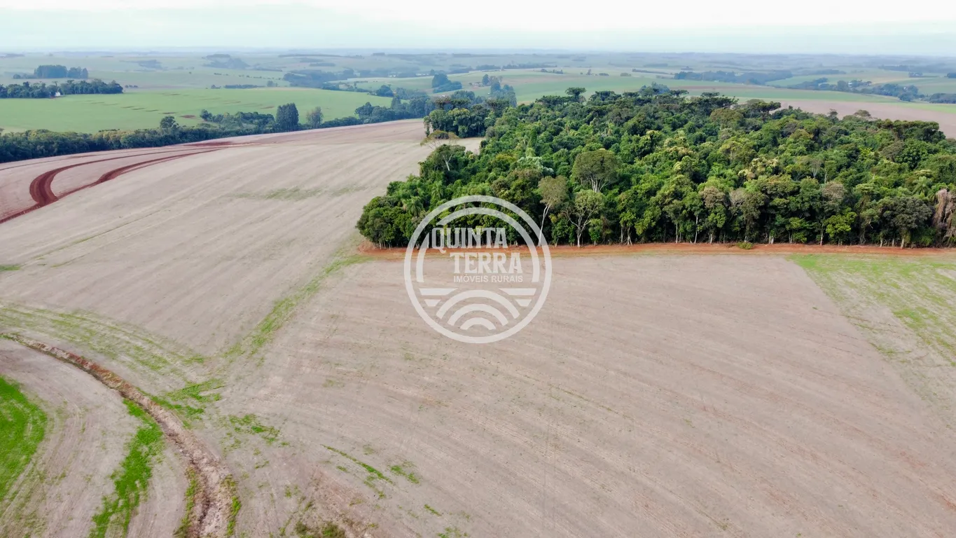 Área à Venda com 43ha - foto 4