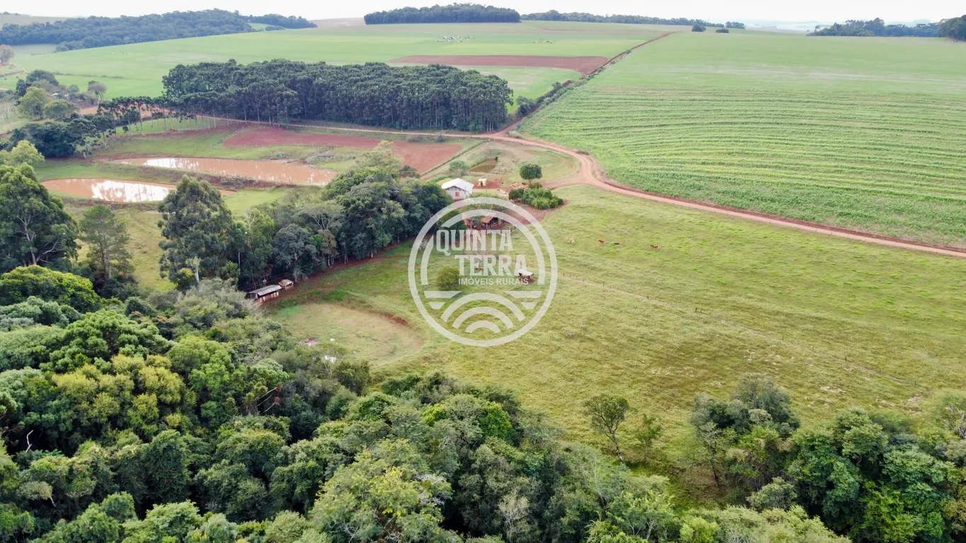 Área à Venda com 43ha - foto 9