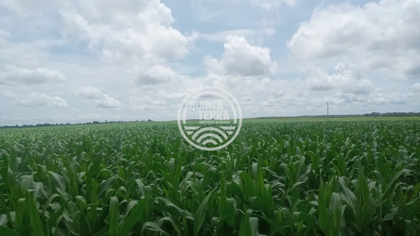 Área à Venda com 338ha - foto 3