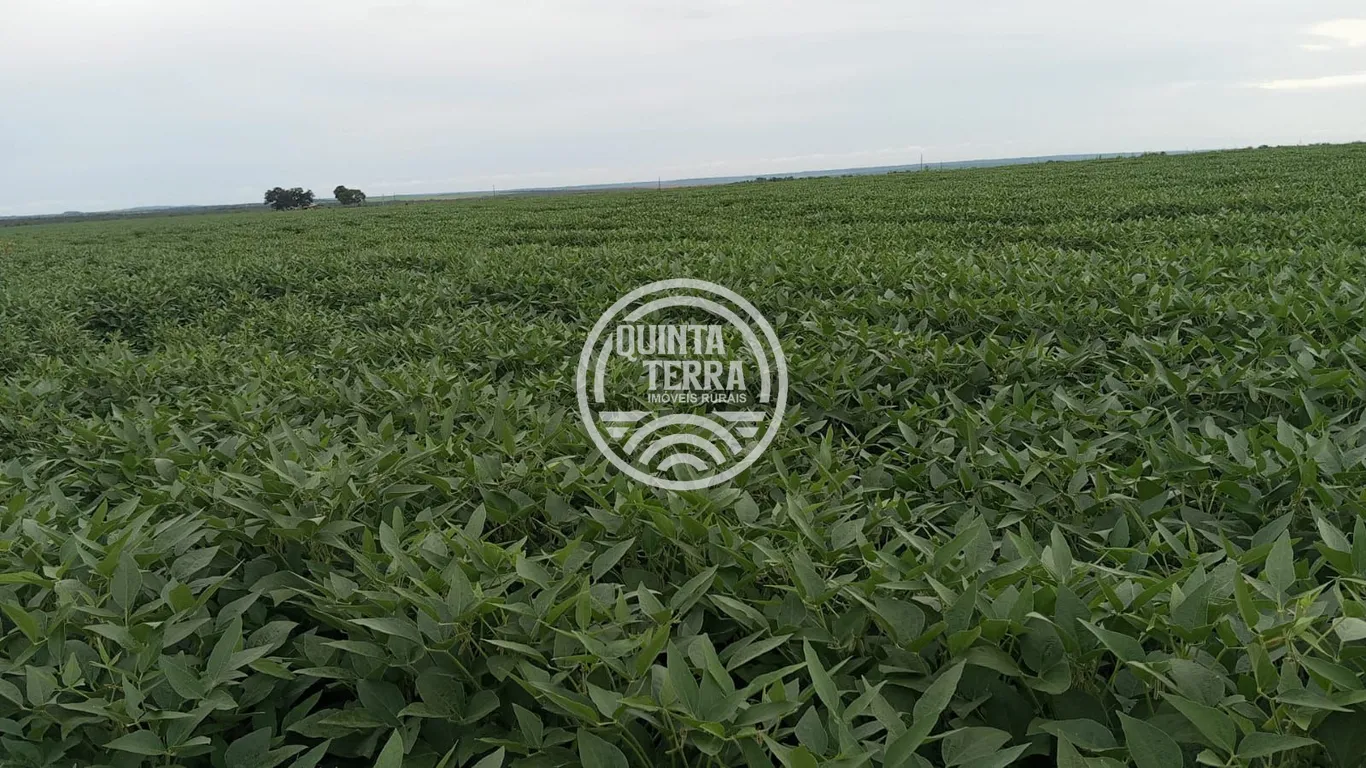 Área à Venda com 338ha - foto 4