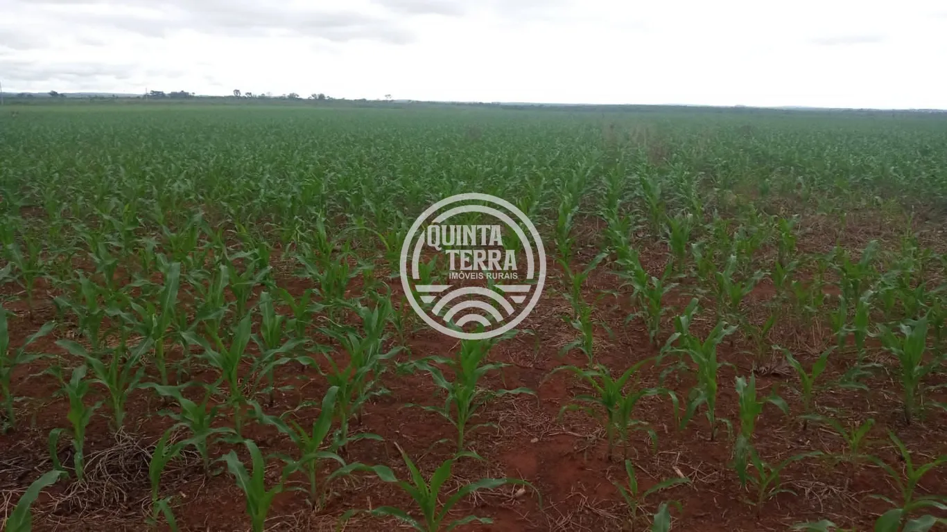 Área à Venda com 338ha - foto 6