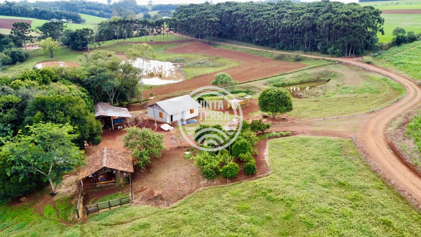 Área à Venda com 43ha - foto 1