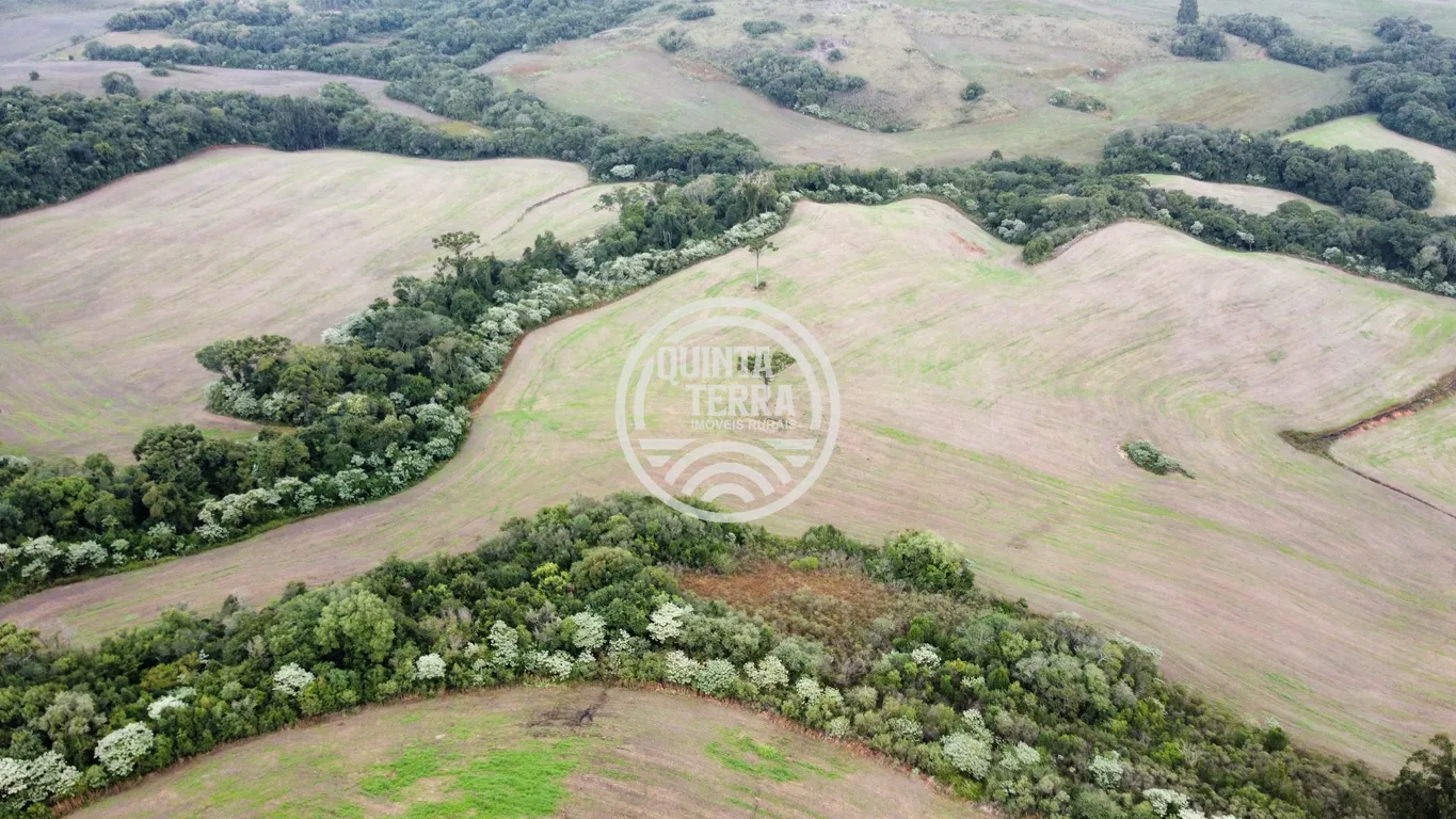 Área à Venda com 33ha - foto 2