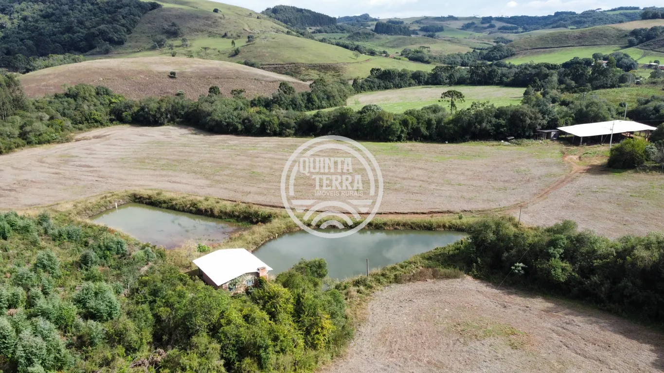 Área à Venda com 33ha - foto 3