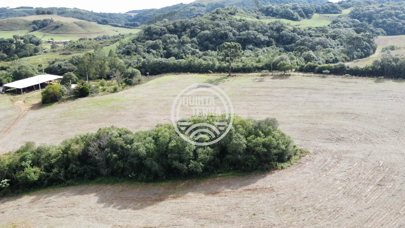 Área à Venda com 33ha - foto 4