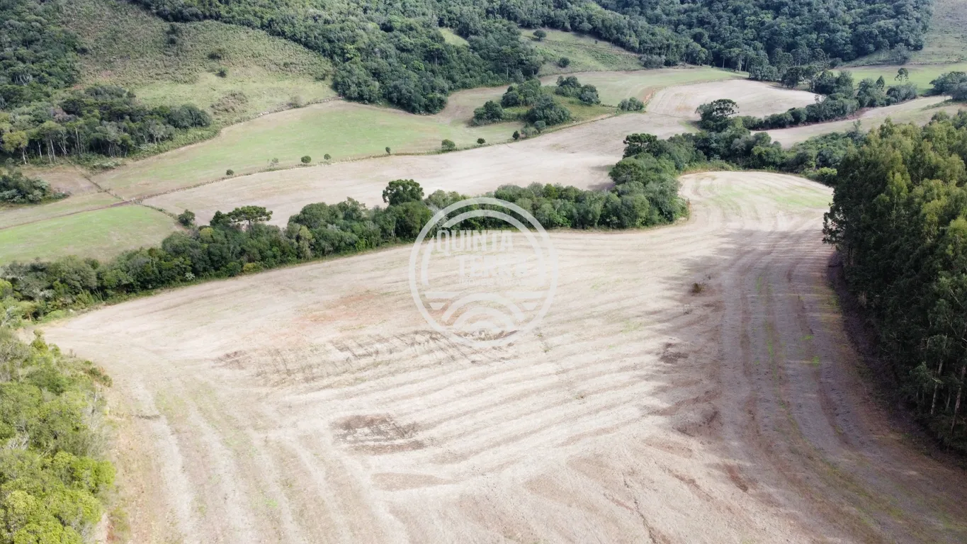 Área à Venda com 33ha - foto 5