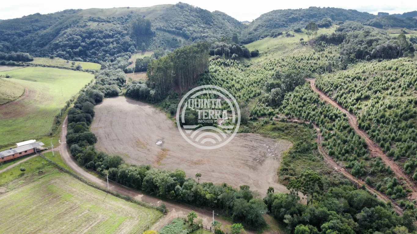 Área à Venda com 33ha - foto 9