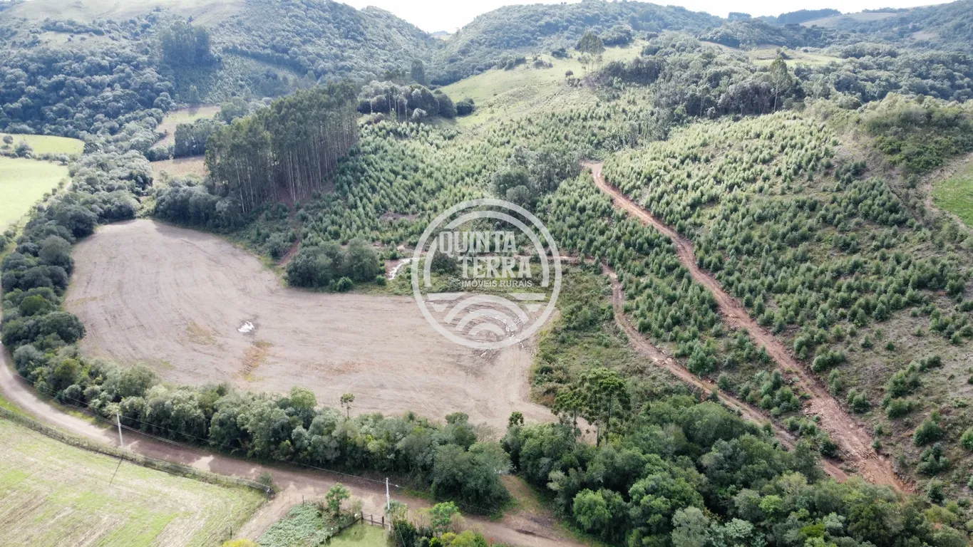 Área à Venda com 33ha - foto 10