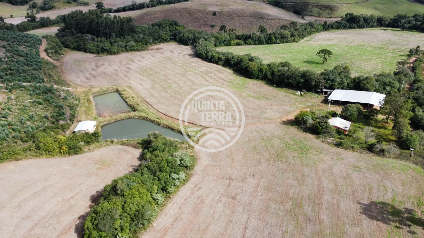 Área à Venda com 33ha - foto 11