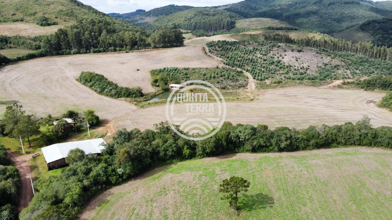 Área à Venda com 33ha - foto 14