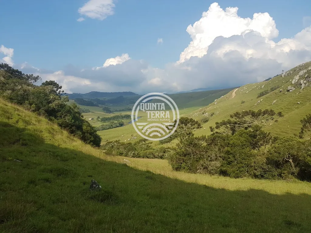 Área à Venda com 20ha - foto 1