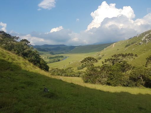 Área à Venda com 20ha Centro, Cambará do Sul-RS