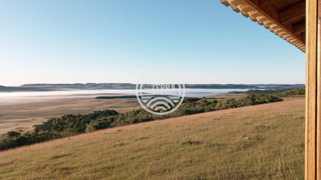 Área à Venda com 20ha - foto 6