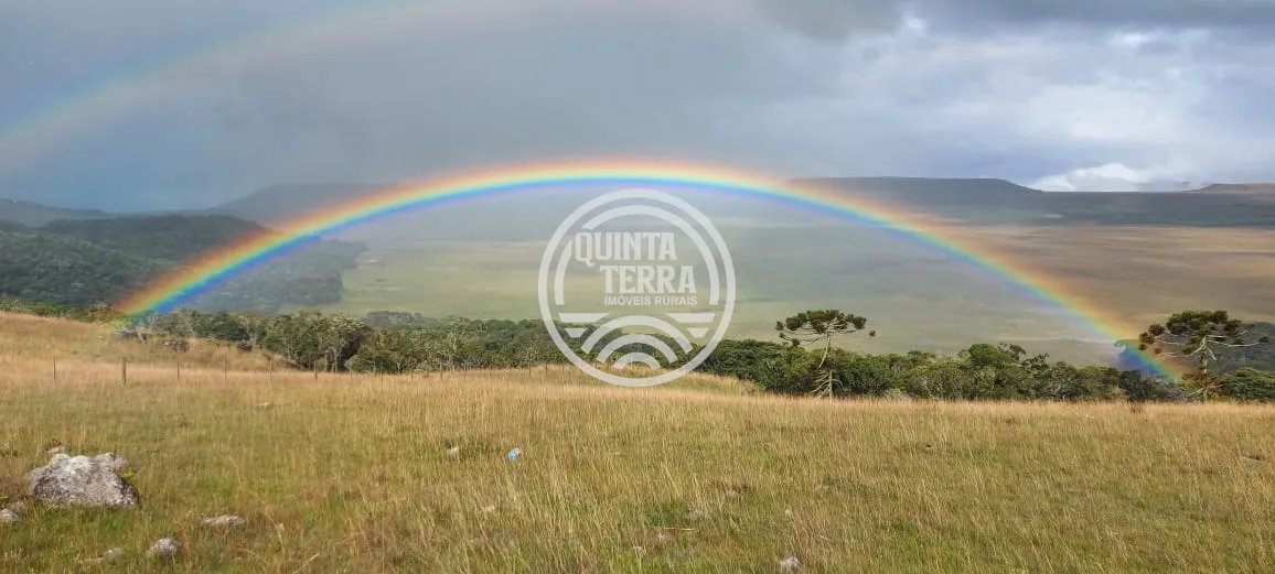 Área à Venda com 20ha - foto 9