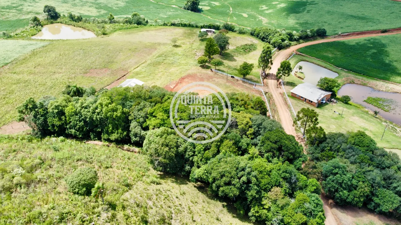 Chácara à Venda com 9ha - foto 3
