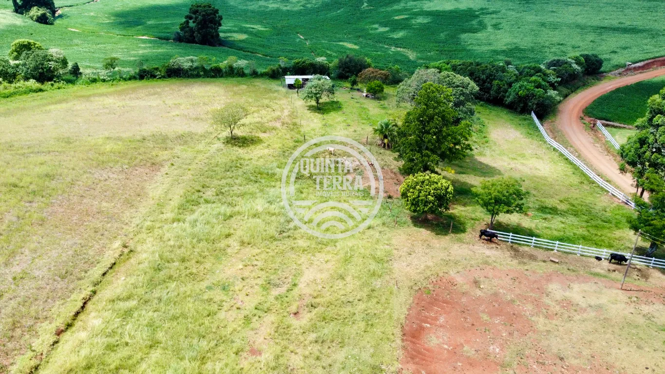 Chácara à Venda com 9ha - foto 5