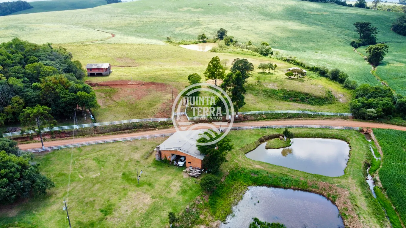 Chácara à Venda com 9ha - foto 6