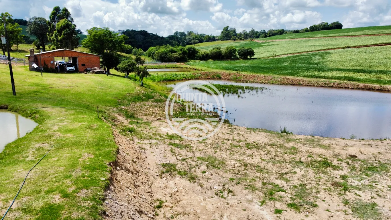 Chácara à Venda com 9ha - foto 8