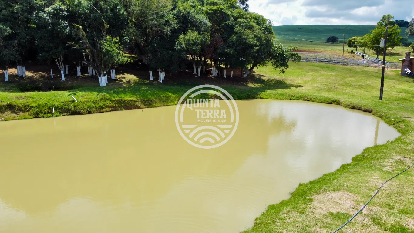 Chácara à Venda com 9ha - foto 9