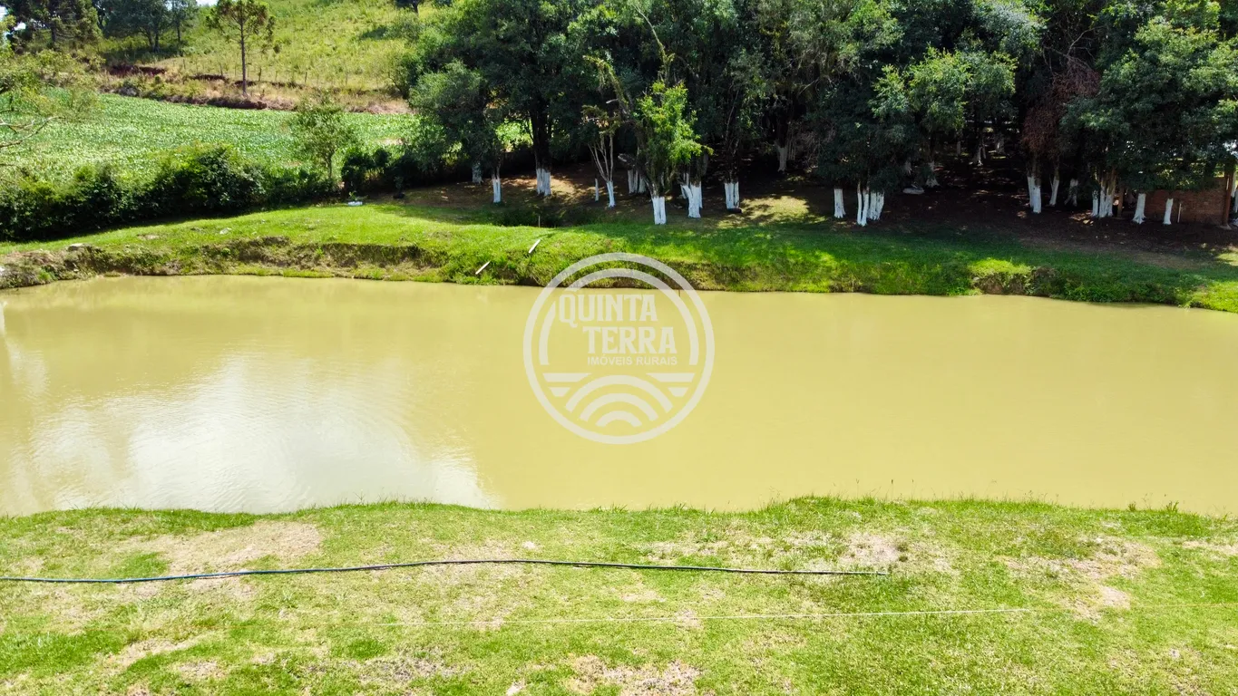 Chácara à Venda com 9ha - foto 11