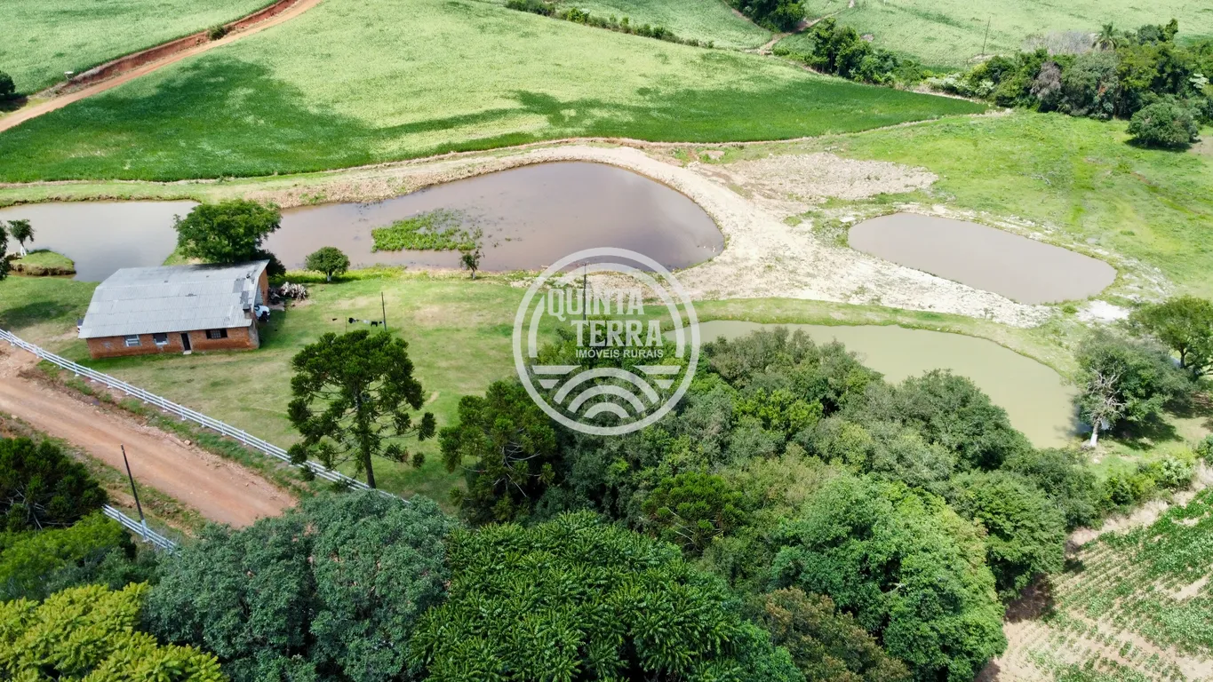 Chácara à Venda com 9ha - foto 13