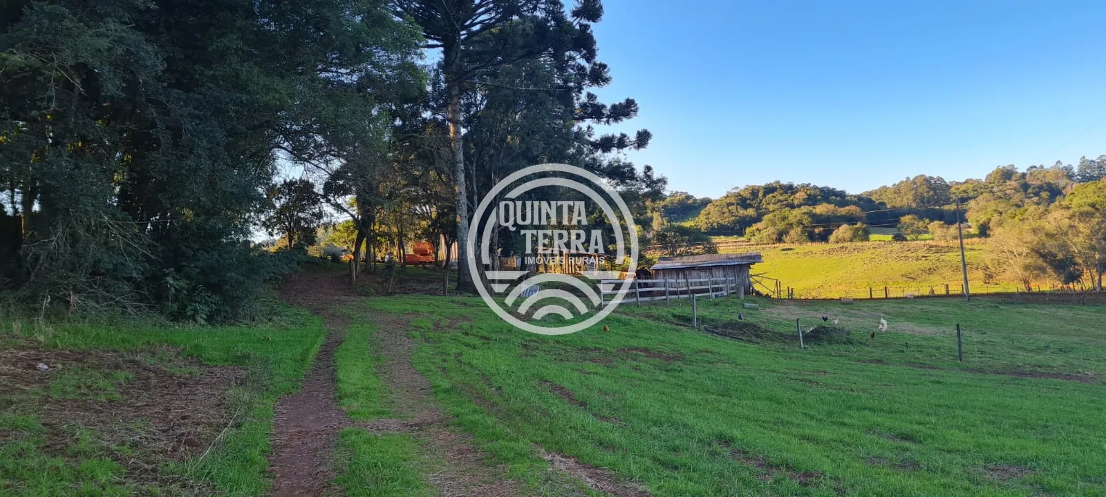 Chácara à Venda com 3ha - foto 2