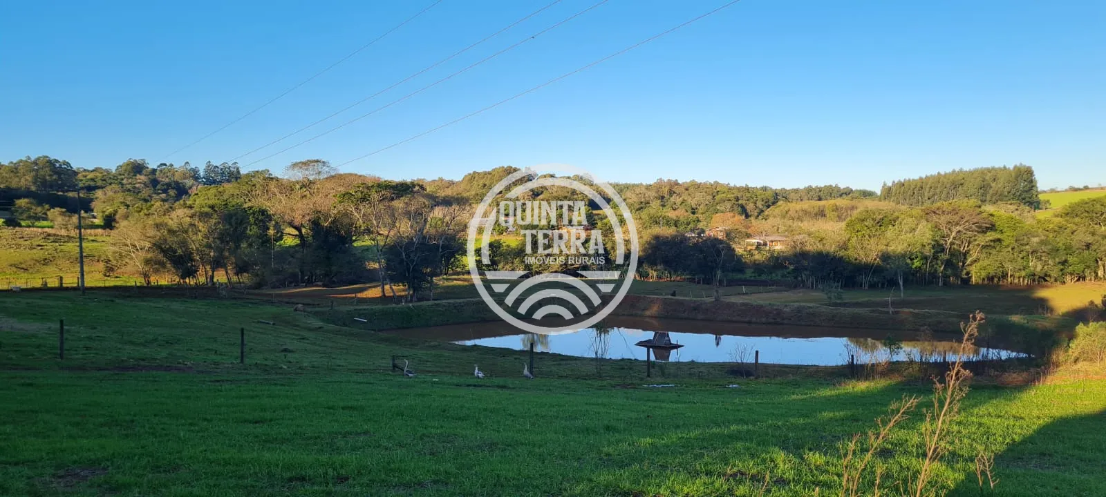 Chácara à Venda com 3ha - foto 4