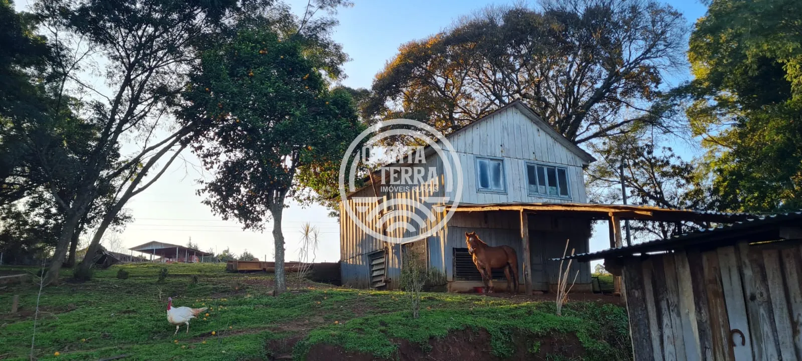 Chácara à Venda com 3ha - foto 7