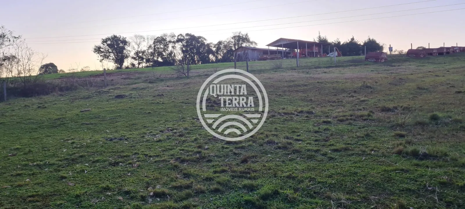 Chácara à Venda com 3ha - foto 12