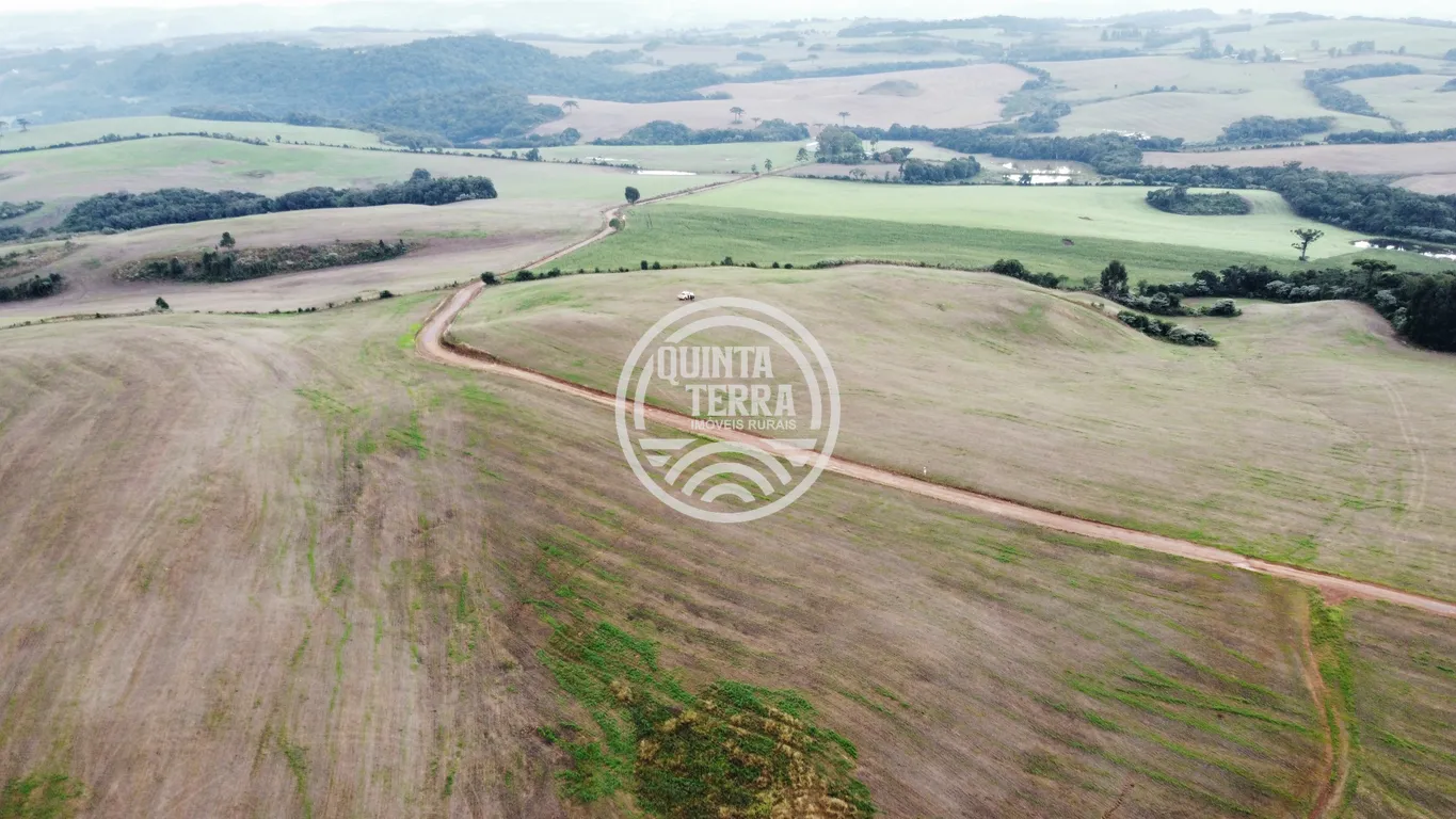 Área à Venda com 226ha - foto 3