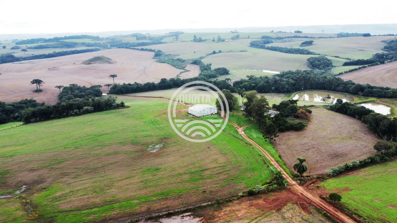 Área à Venda com 226ha - foto 5