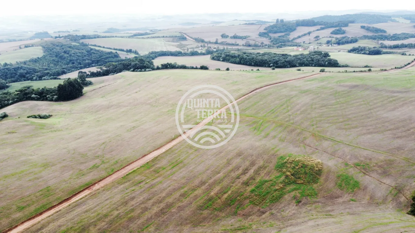 Área à Venda com 226ha - foto 6