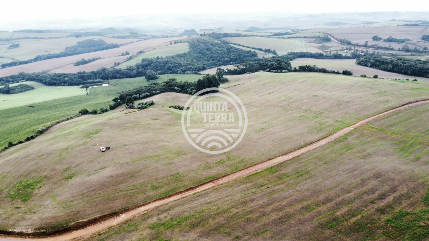 Área à Venda com 226ha - foto 7