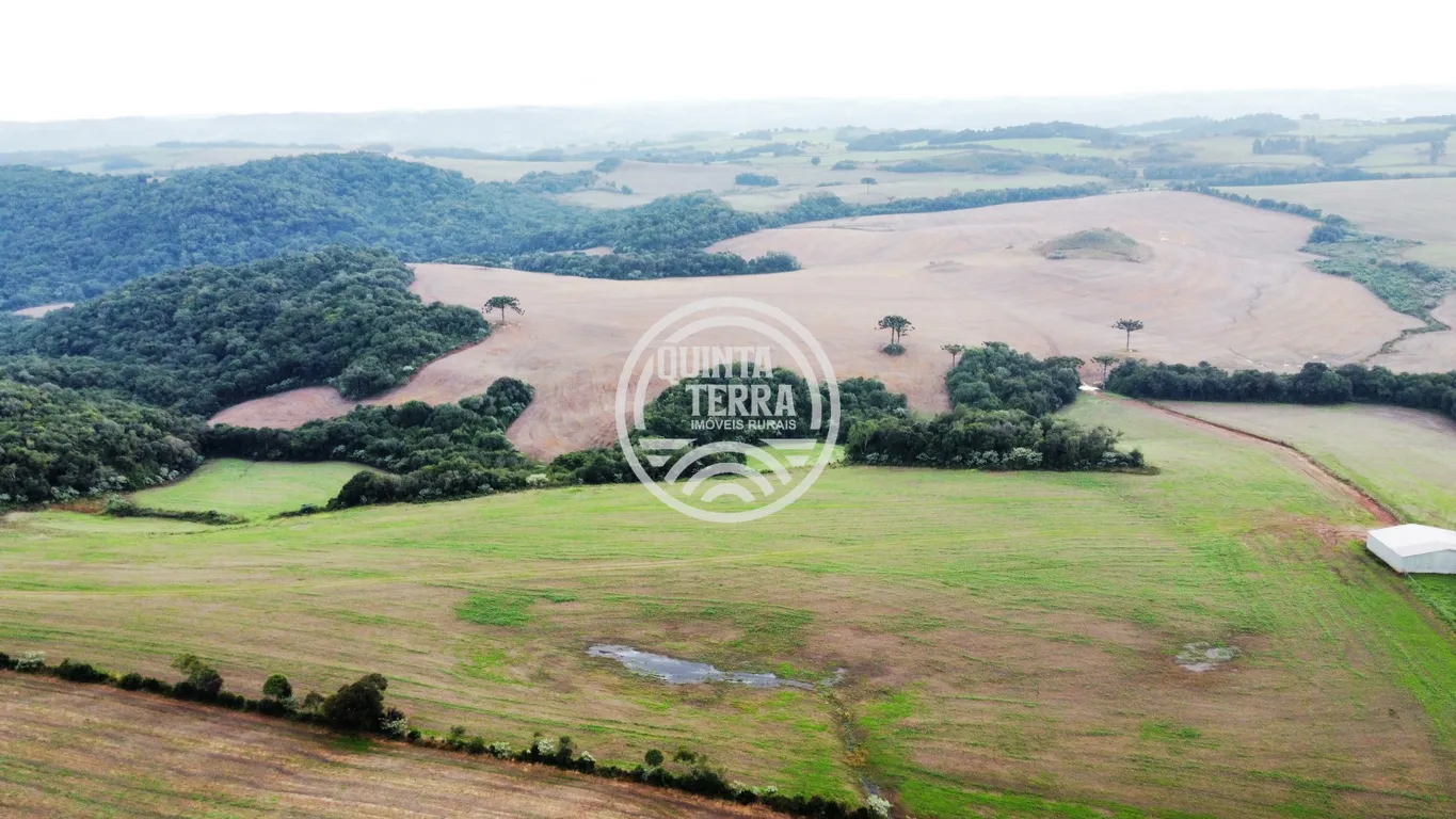 Área à Venda com 226ha - foto 9