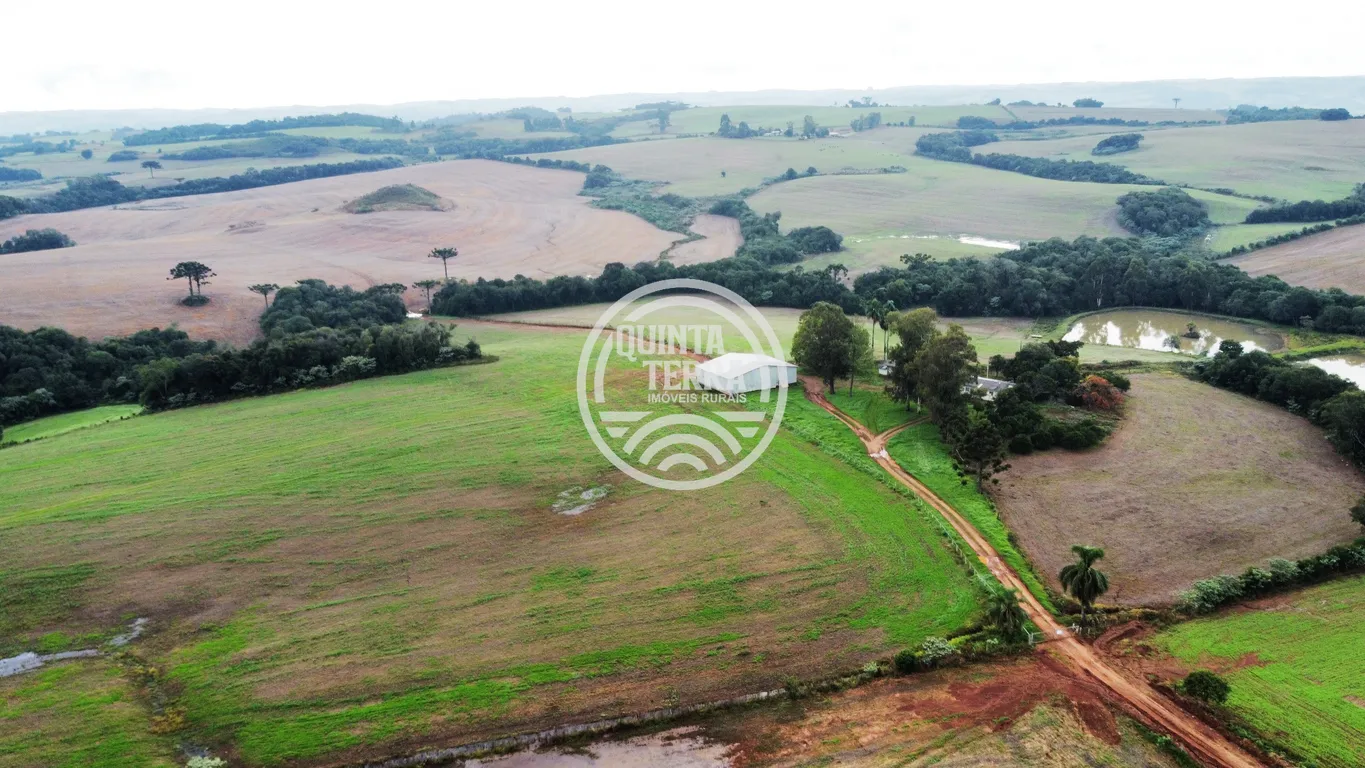 Área à Venda com 226ha - foto 10
