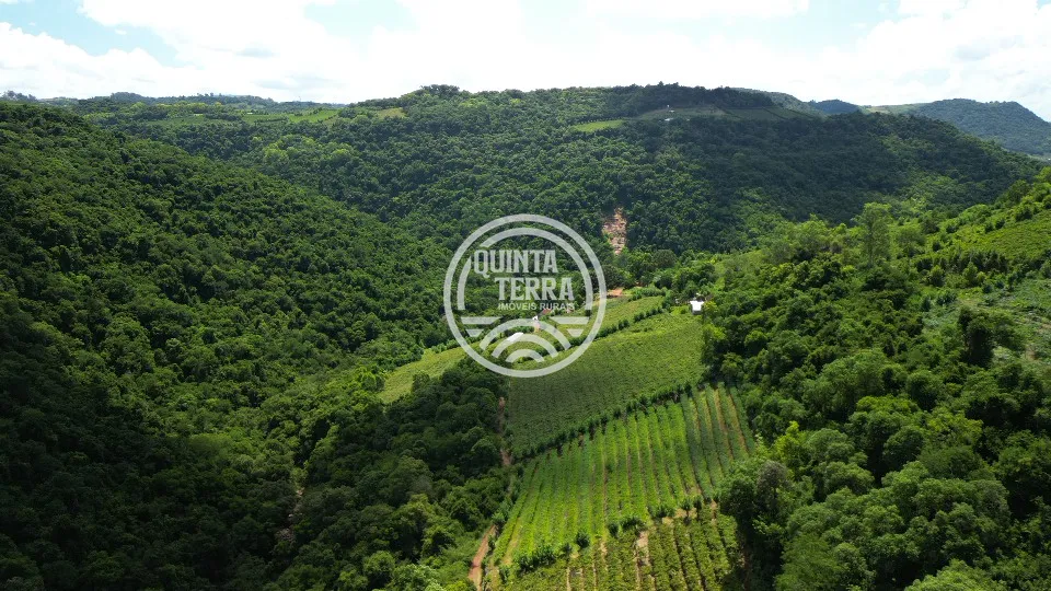 Área à Venda com 5ha - foto 1